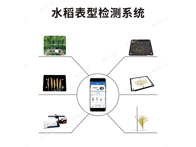 水稻表型檢測系統 TPS-BX-1